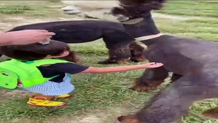 Kim böyle bir kucaklaşmaya hayır diyebilir ki?