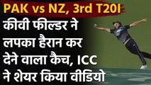Pak vs NZ 3rd T20I:  Daryl Mitchell takes an One-Handed Screamer against Pakistan | Oneindia Sports