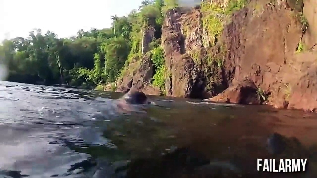 When Animals Attack Compilation    FailArmy(720P_HD)