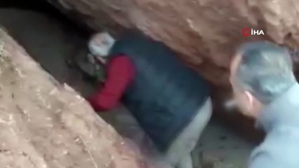 Kayalıklardan denize düşen karaca için seferber oldular