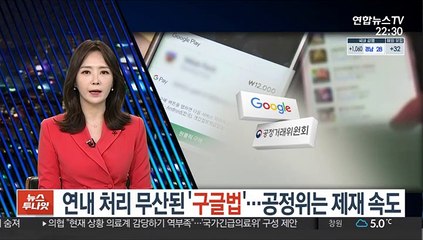 연내 처리 무산된 '구글법'…공정위는 제재 속도