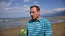 Maqedonia po dëmton liqenin e Ohrit bie niveli i ujit, shfaqen për herë të parë flamingot