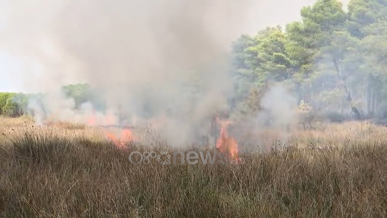 Ora News - Përfshihet nga flakët masivi pyjor i Semanit