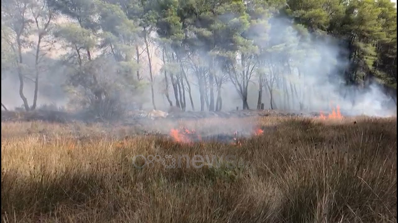 Ora News - Përfshihet nga flakët masivi pyjor i Semanit