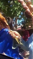 Very Forceful Fried Chicken Vendors