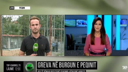Greva në burgun e Peqinit/ 400 të dënuar refuzojnë ushqimin, kërkojnë amnisti