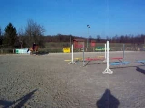 Alexa et Flèche barres gym chez Tony #10