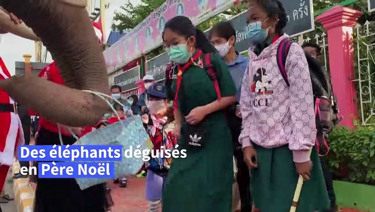 Des éléphants au milieu des enfants à Noël en Thaïlande, une tradition qui fait polémique