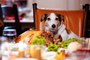 Do Not Give Your Dog These Foods During the Holidays