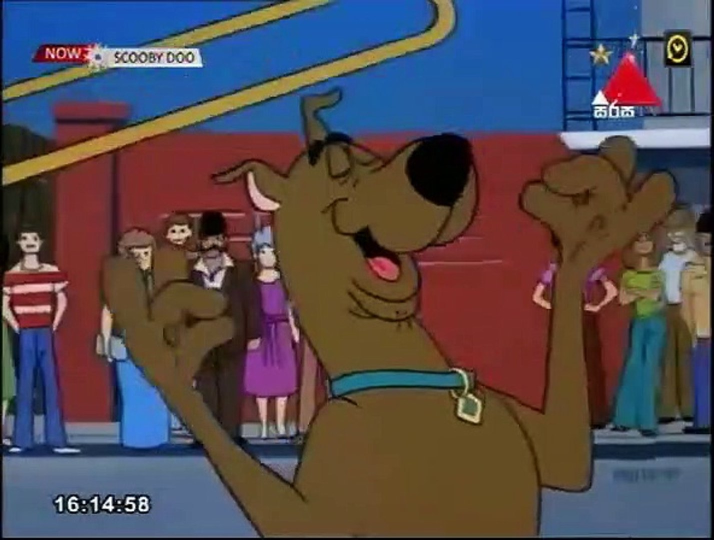 scooby 231