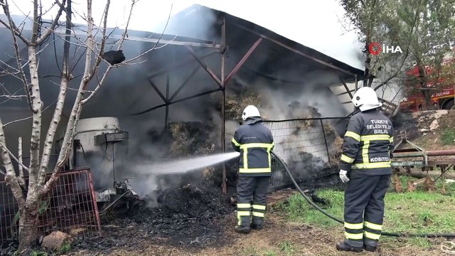 Ahır yandı, 12 ton buğday, bin 200 adet saman balyası kül oldu