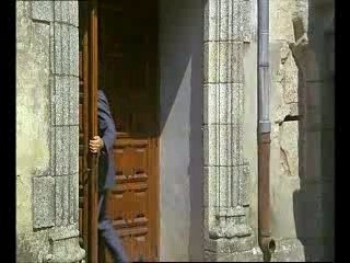 un chien dans un jeu de quilles