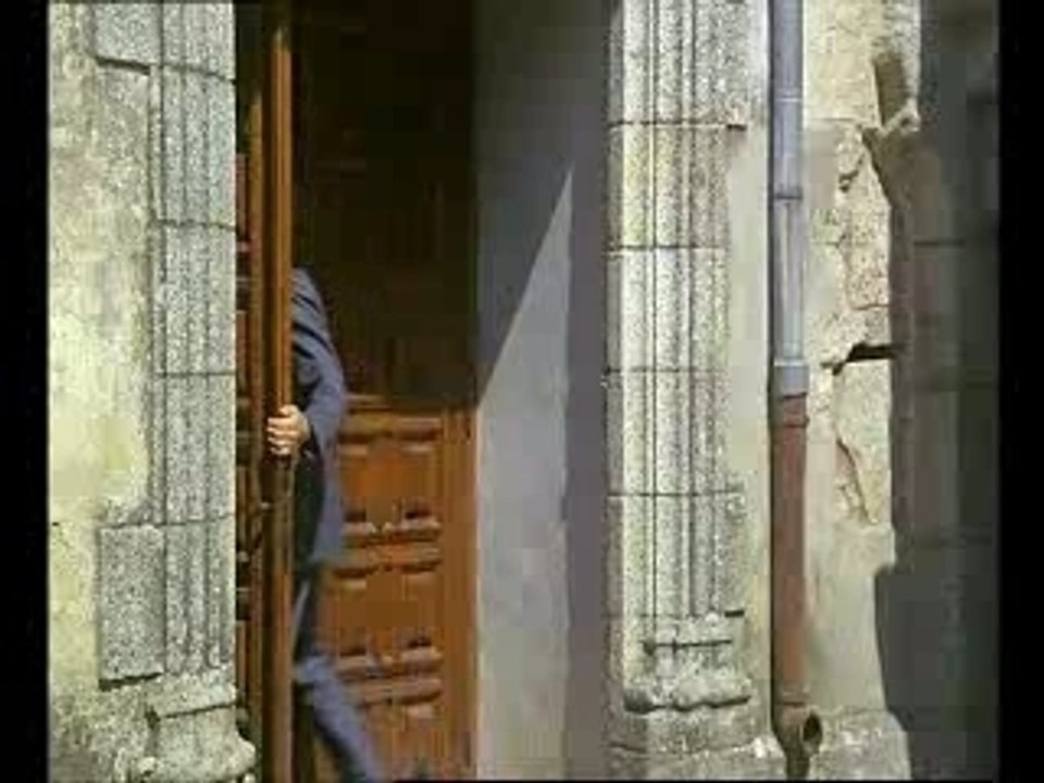 un chien dans un jeu de quilles