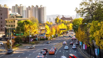 Coronavirus, rilevata nuova variante dal Sudafrica: è più contagiosa come quella britannica