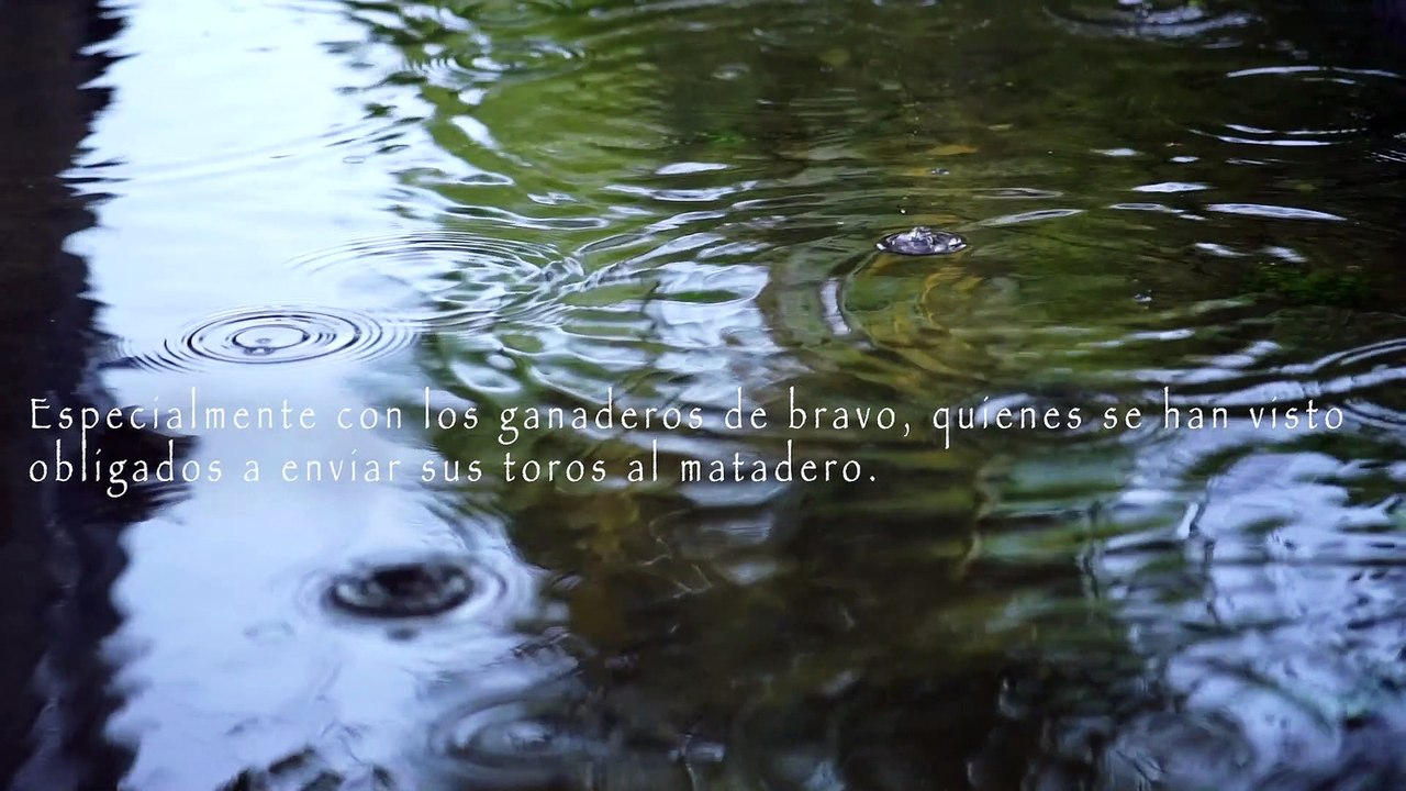 HOMENAJE COVID 19 ASUNTOS TAURINOS COMUNIDAD DE MADRID