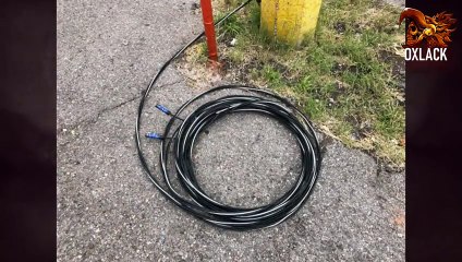 VIDEOS EXTRAÑOS VIRALES ¿LOS HAS Visto...  WEIRD VIRAL VIDEOS HAVE YOU SEEN THEM...