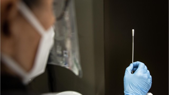 Warren Introduces New COVID Testing Bill