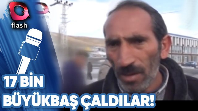 17 Bin Büyükbaş Çaldılar!