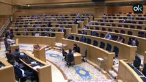 El PSOE aprueba la Ley Celaá que margina el español con el apoyo de ERC y PNV