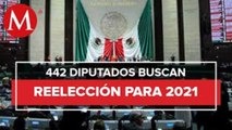 Van 442 diputados por la reelección en San Lázaro