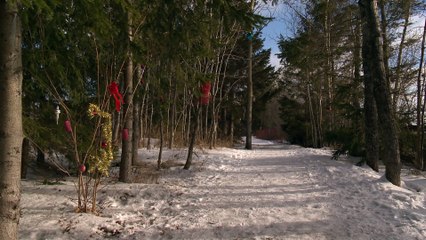 La magie du temps des Fêtes à Caplan !