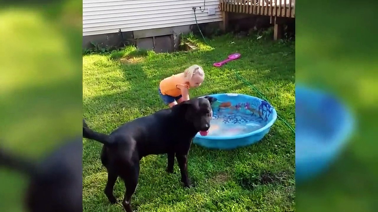 Laughing Babies Playing With Dog And Water _ Funny Baby And Dog