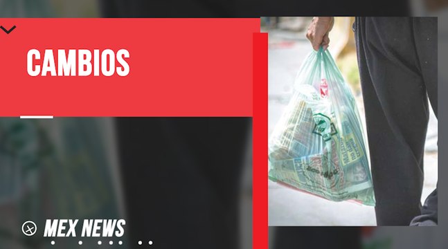 LOS CAPITALINOS SE DESPIDIERON DE LAS BOLSAS DE PLÁSTICO EN LOS ESTABLECIMIENTOS