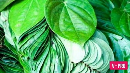 99% Log Nahi Jante PAAN Ke Chamatkari Fayde | Amazing Benefits Of Paan with Limestone
