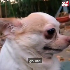 Bà mẹ khó hiểu của tôi