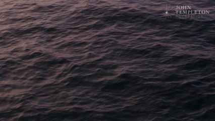 Finding aliens: Is there a ‘theory of everything’ for life?