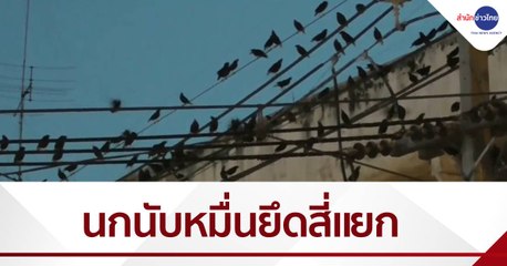 เรื่องนี้มีคำถาม : ผวานกนับหมื่นยึดสี่แยกกลางเมือง