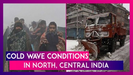 Cold Wave Conditions In North, Central India: Ground Frost & Snowfall Warnings Issued During Christmas Week