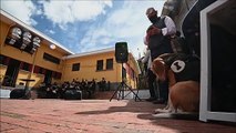 Bogota orchestra performs concert for dogs