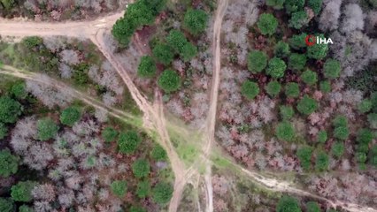 Kemerburgaz Kent Ormanı’nda renk cümbüşü