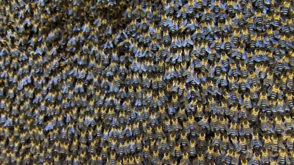 Hidden India S01E01 - Lands of Change