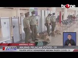 Anjing Pelacak Covid-19 Mampu Lacak 250 Orang Per Jam