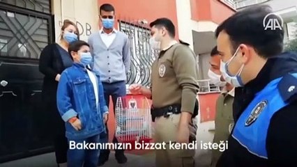 Bakan Soylu, kaplumbağasından ayrı düşen Eymen'e muhabbet kuşu hediye etti