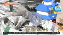 투명 페트병 그냥 버리면 NO! 내일부터 분리배출 '의무화'