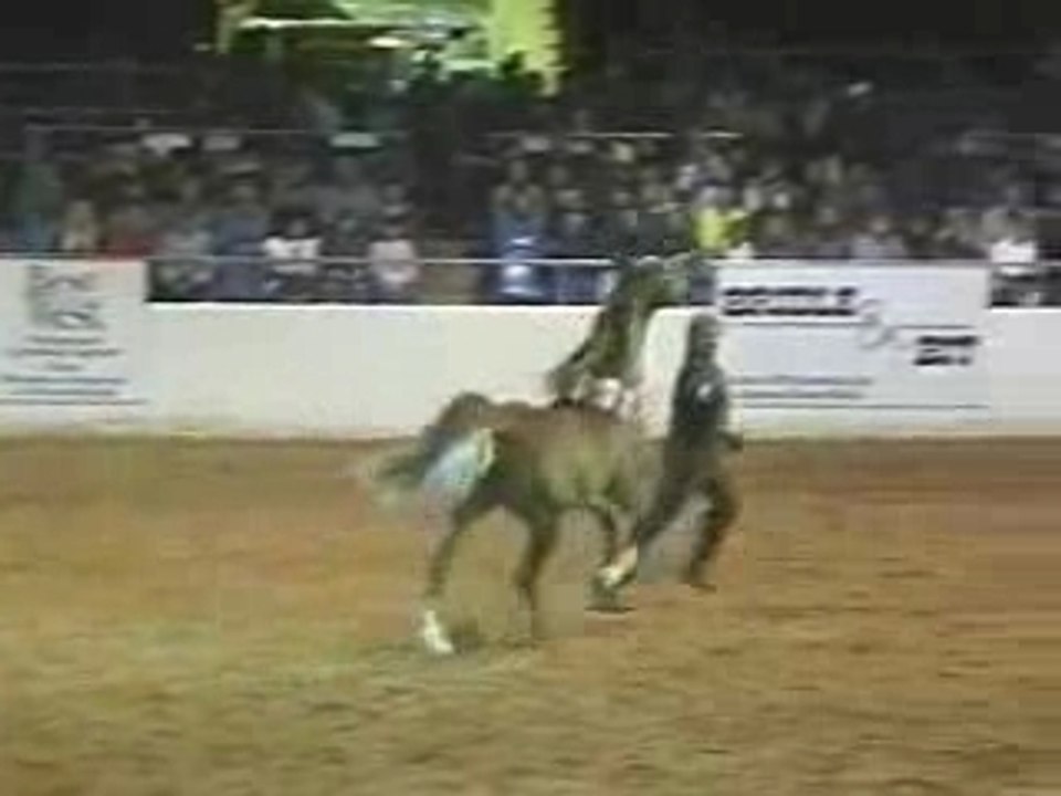 Windborne Video Productions - Premier Videographer to the Ar