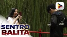 Bamboo Eco Park sa Baguio City na mala-Japan, patok ngayon sa mga turista; health protocols , mahigpit ding ipinatutupad