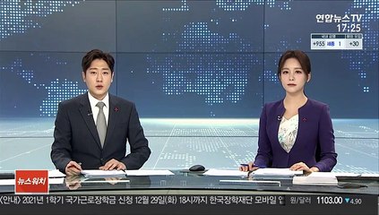 통일부 "전단금지법 해석지침 마련…적용범위 규정"