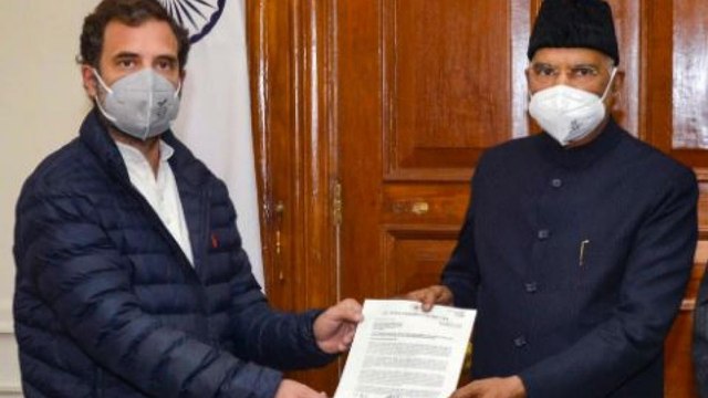 Nonstop: Rahul Gandhi meets President Kovind