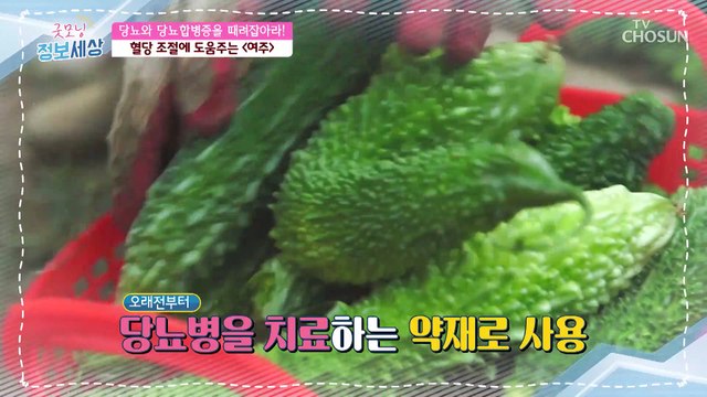 당뇨에 도움 도깨비 방망이 모양의 ‘○○’은? #광고포함