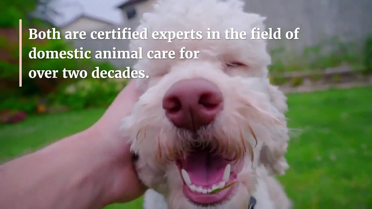 Jubilee Ace - Get The Best And Healthy Breeds Of Pets & Pet Foods Supplied Provided By Bobby Low & Leslie's Team At Jubilee Leslie Ace