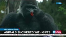 Animals showered with gifts