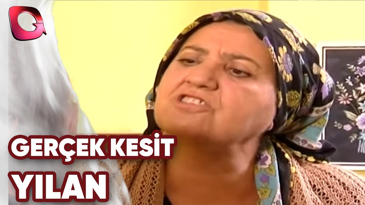 GERÇEK KESİT - YILAN
