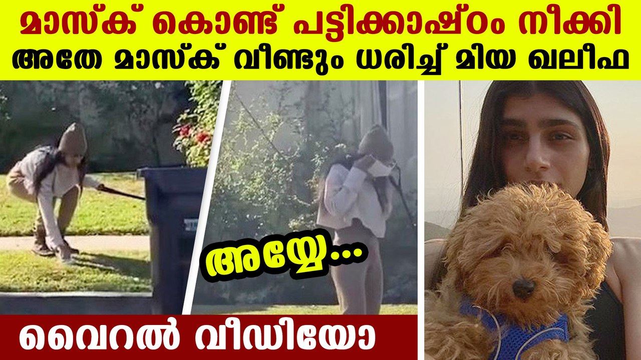 Ex-porn star Mia Khalifa uses face mask to pick up dog poo then puts it back on: Viral Video