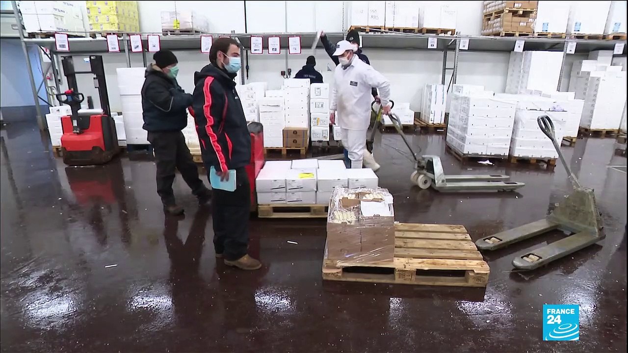 Coronavirus pandemic: Import shortages in France amid bordure closure with UK