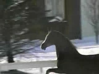 Windborne Video Productions - Premier Videographer to the Ar