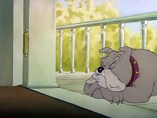 005 - Dog Trouble 🐶